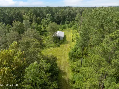 29 Ac Old Rifle Range Rd, Petal, MS 39465 photo 13