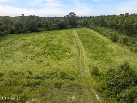 29 Ac Old Rifle Range Rd, Petal, MS 39465 photo 11