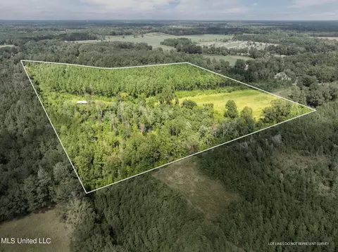 29 Ac Old Rifle Range Rd, Petal, MS 39465 photo 4