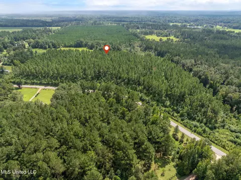 29 Ac Old Rifle Range Rd, Petal, MS 39465 photo 22