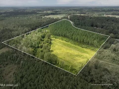 29 Ac Old Rifle Range Rd, Petal, MS 39465 photo 2