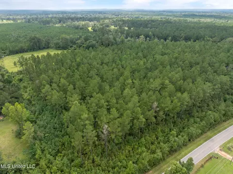 29 Ac Old Rifle Range Rd, Petal, MS 39465 photo 17