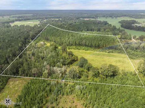 29 Ac Old Rifle Range Rd, Petal, MS 39465