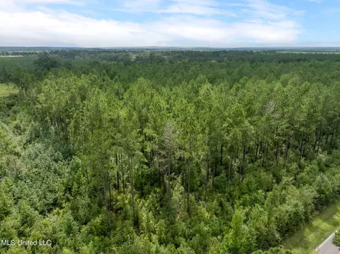 29 Ac Old Rifle Range Rd, Petal, MS 39465 photo 16
