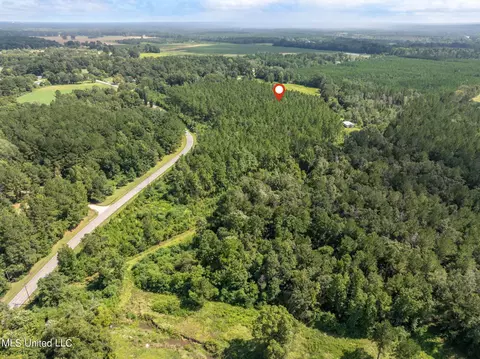 29 Ac Old Rifle Range Rd, Petal, MS 39465 photo 23