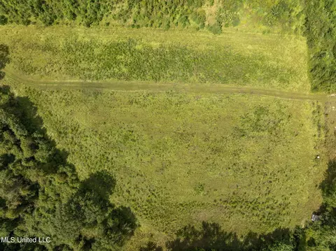 29 Ac Old Rifle Range Rd, Petal, MS 39465 photo 20