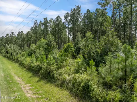 29 Ac Old Rifle Range Rd, Petal, MS 39465 photo 9