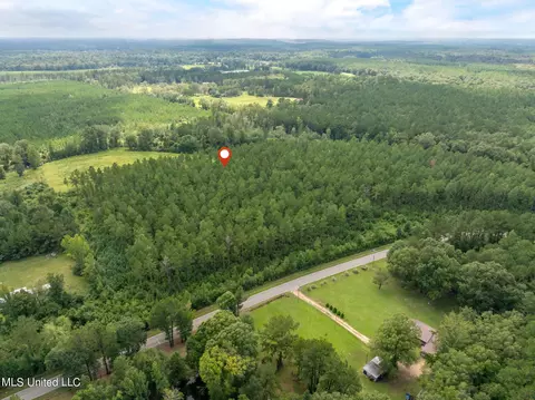 29 Ac Old Rifle Range Rd, Petal, MS 39465 photo 21