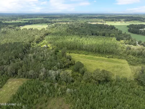 29 Ac Old Rifle Range Rd, Petal, MS 39465 photo 18