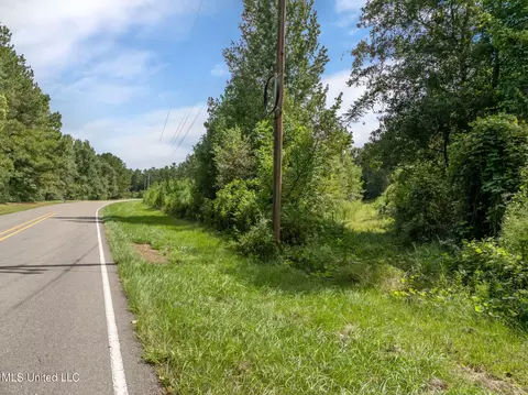 29 Ac Old Rifle Range Rd, Petal, MS 39465 photo 6