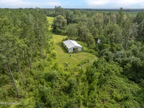 29 Ac Old Rifle Range Rd, Petal, MS 39465 photo 14