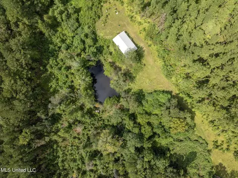 29 Ac Old Rifle Range Rd, Petal, MS 39465 photo 19