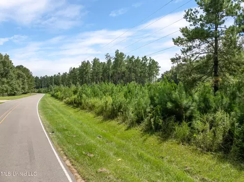 29 Ac Old Rifle Range Rd, Petal, MS 39465 photo 7