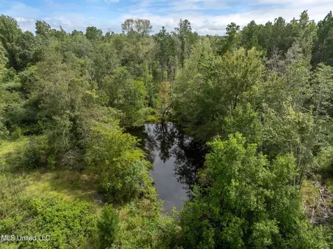 29 Ac Old Rifle Range Rd, Petal, MS 39465 photo 15