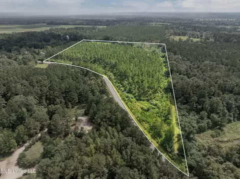 29 Ac Old Rifle Range Rd, Petal, MS 39465 photo 3