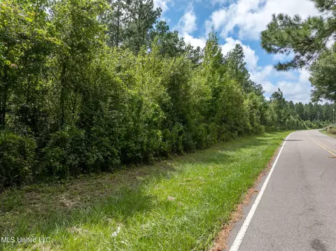 29 Ac Old Rifle Range Rd, Petal, MS 39465 photo 5