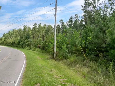 29 Ac Old Rifle Range Rd, Petal, MS 39465 photo 8