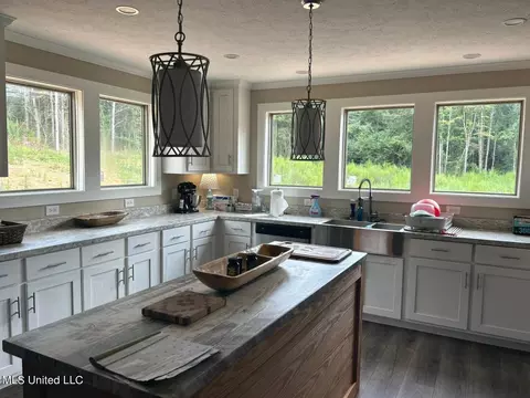 Kitchen - 382 Ables Rd, Walnut Grove, MS 39189 photo 4 of 4
