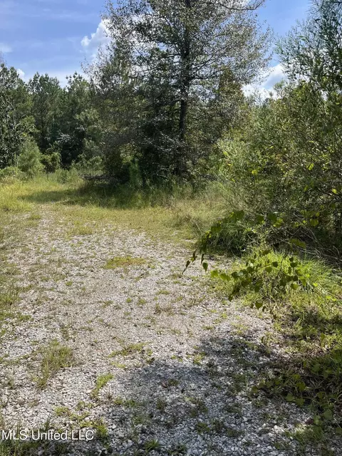 2126 Salem Campground Rd, Lucedale, MS 39452 photo 2