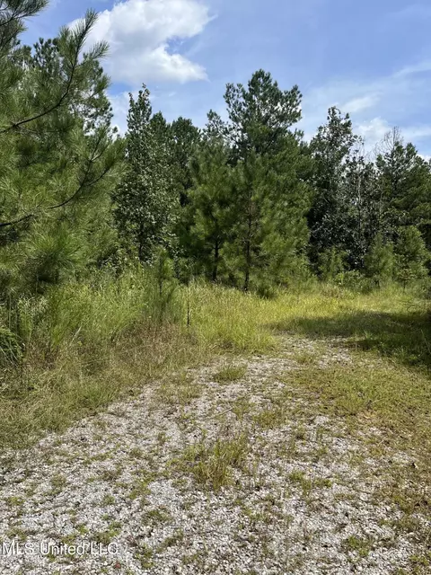 2126 Salem Campground Rd, Lucedale, MS 39452