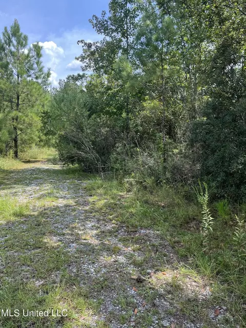 2126 Salem Campground Rd, Lucedale, MS 39452 photo 4
