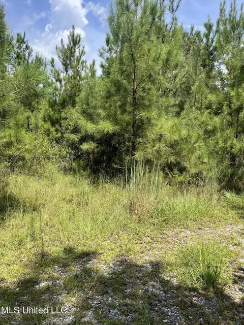 2126 Salem Campground Rd, Lucedale, MS 39452 photo 3
