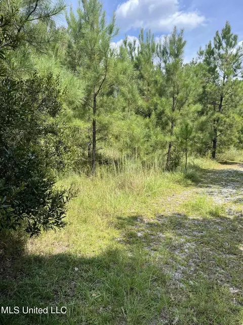 2126 Salem Campground Rd, Lucedale, MS 39452 photo 5