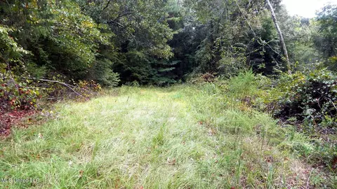 525 Franklin Rd, Batesville, MS 38606