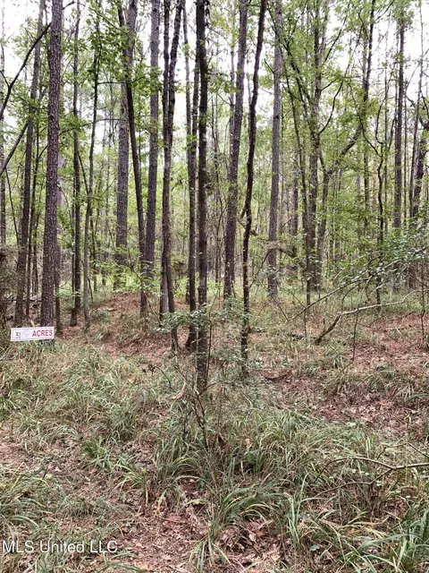 lot S25 Fir St, Pearl, MS 39208