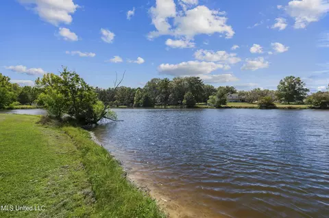 152 Lakeview Rd, Brandon, MS 39047 photo 45
