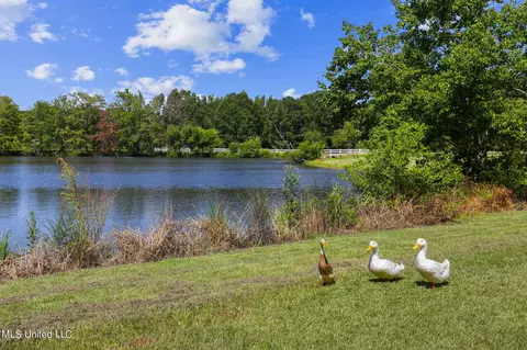 152 Lakeview Rd, Brandon, MS 39047 photo 37