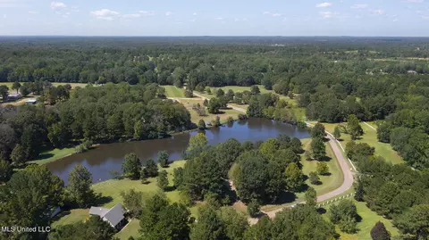 152 Lakeview Rd, Brandon, MS 39047 photo 46