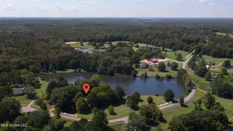 152 Lakeview Rd, Brandon, MS 39047 photo 70