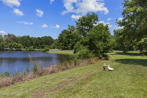 152 Lakeview Rd, Brandon, MS 39047 photo 36