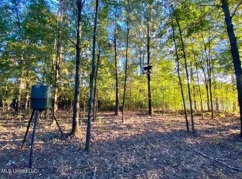 551 Sharon Rd, Canton, MS 39046 photo 2