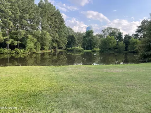 View/Area - 100 Hillview Ct, Brandon, MS 39042 photo 1 of 1