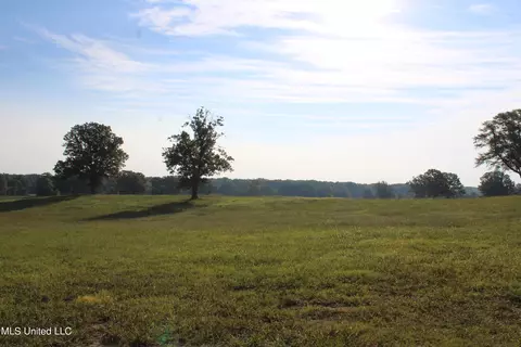 460 Myers Rd, Byhalia, MS 38611