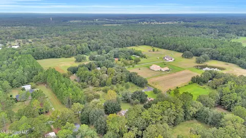 24400 Superior Dr, Lucedale, MS 39452 photo 58