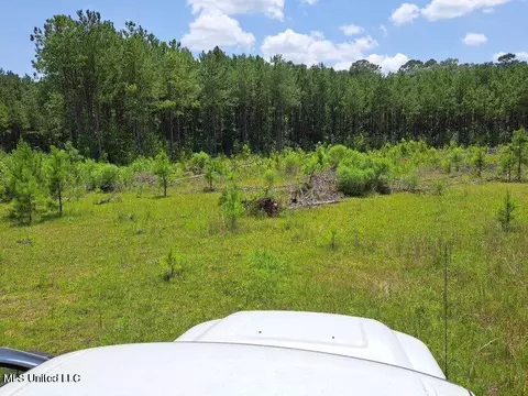 0 0 Us 49 Hwy, Mendenhall, MS 39114