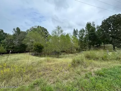 Shamrock Loop, Byhalia, MS 38611 photo 4