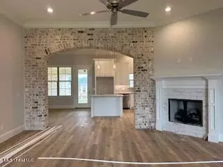 301 Chapel Crest Cv, Madison, MS 39110 photo 2