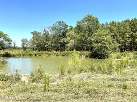 787 Highway 487, Carthage, MS 39051 photo 2