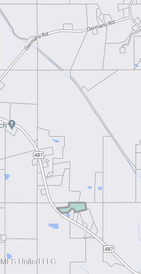 787 Highway 487, Carthage, MS 39051 photo 18