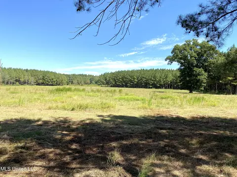 787 Highway 487, Carthage, MS 39051 photo 15