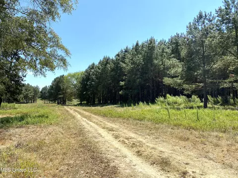 787 Highway 487, Carthage, MS 39051 photo 14