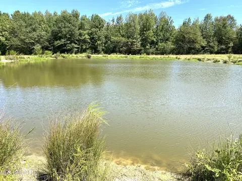 787 Highway 487, Carthage, MS 39051 photo 8