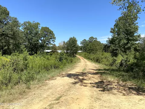 787 Highway 487, Carthage, MS 39051 photo 7