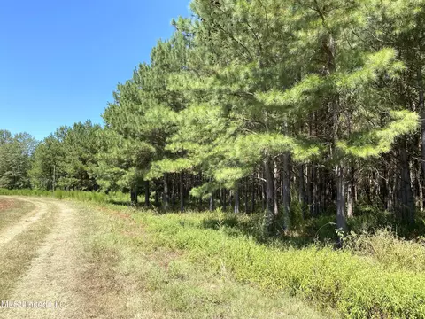 787 Highway 487, Carthage, MS 39051 photo 16
