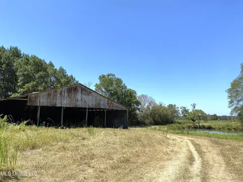 787 Highway 487, Carthage, MS 39051 photo 12