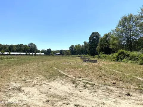 787 Highway 487, Carthage, MS 39051 photo 6